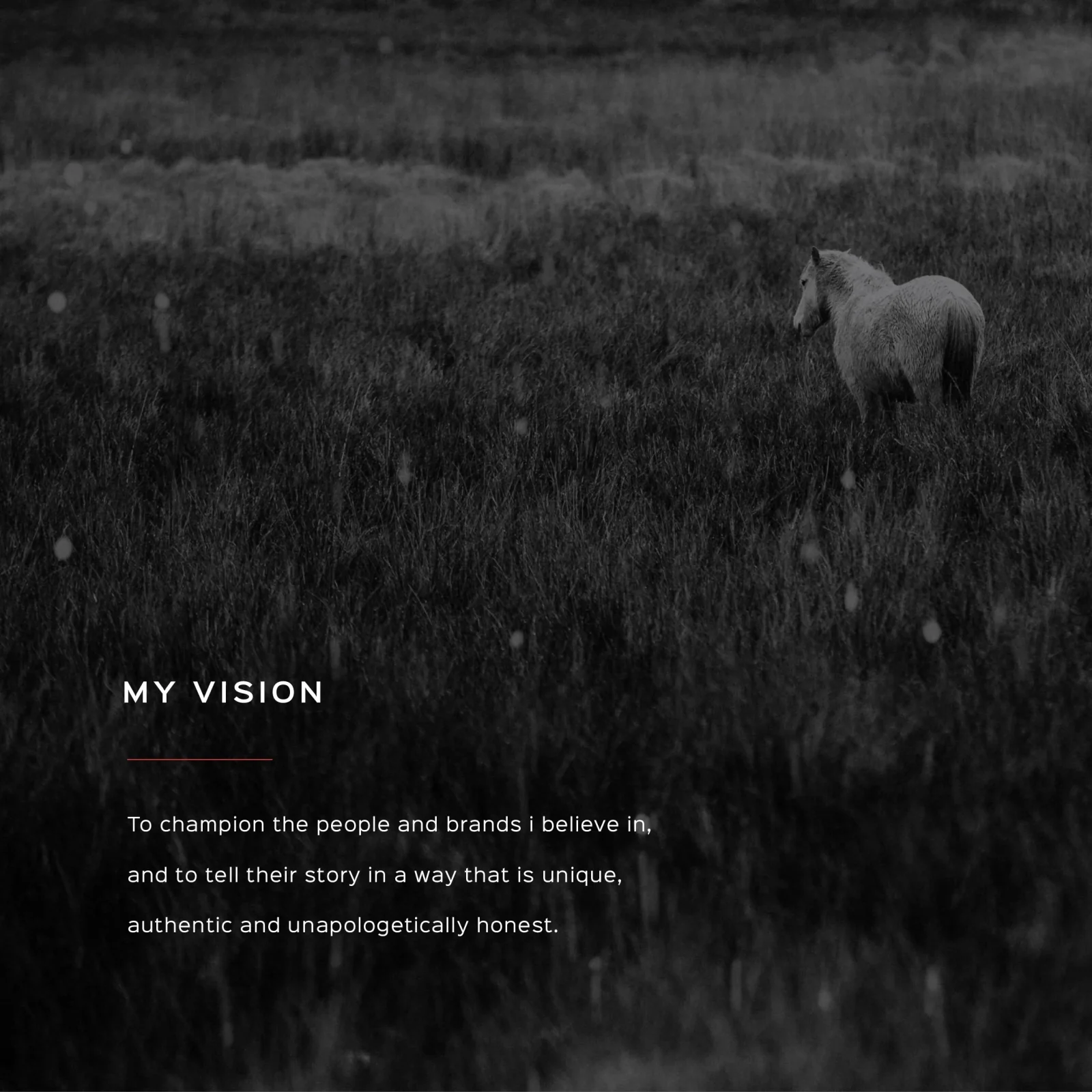A lone white horse stands in a dark, grassy field with raindrops visible in the air. An overlay text in the lower right reads 