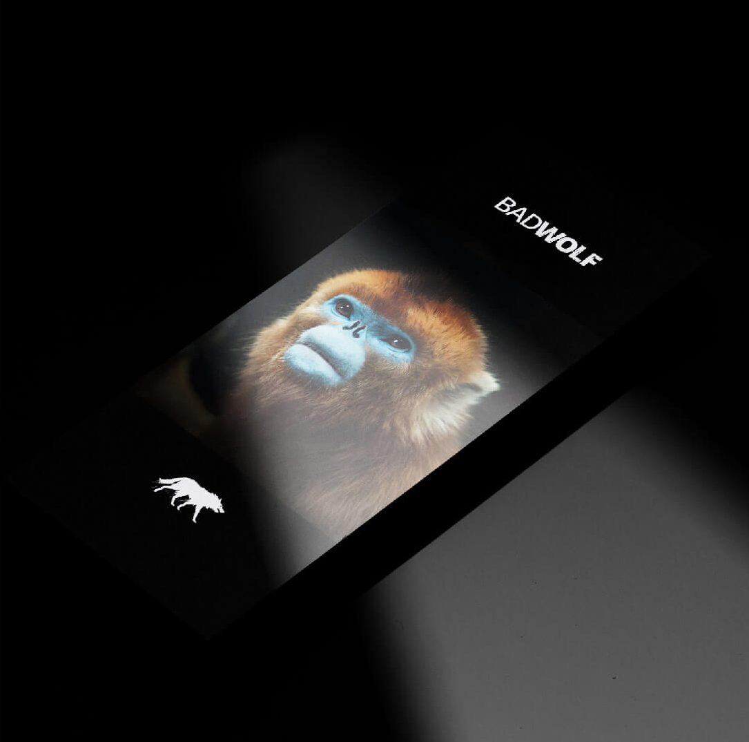 Badwolf-Designdough-Design-Website-Mobile-02